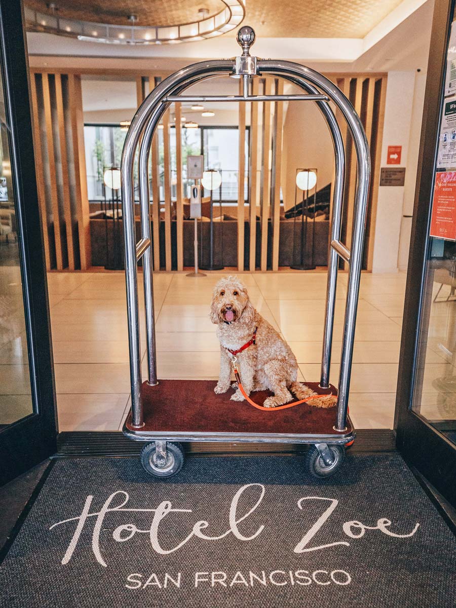 Dog Friendly Hotels in San Francisco, Package